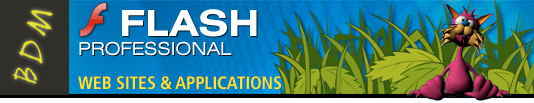 BDM | Adobe Flash Design & Development