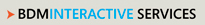 BDM | Interactive Services